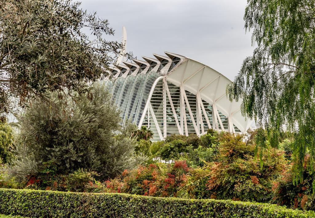 Travel Habitat Torre Francia Lägenhet Valencia Exteriör bild